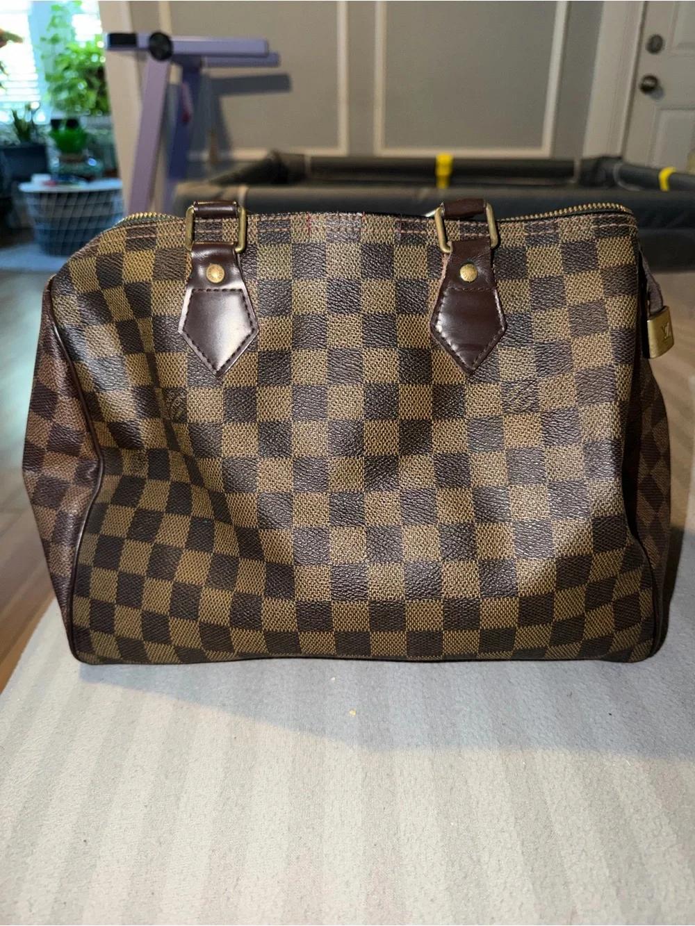 Louis Vuitton Speedy 30 Damier Ebene Brown Canvas Handbag
